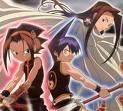 ce parere aveti despre tao-len? - Dupa parerea mea Len este un baiat misterios si - shaman king