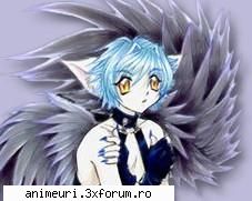 taramul intunericului - Black kittycat - Taramuri