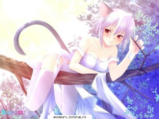 taramul oamenianimalelor - Black kittycat - Taramuri